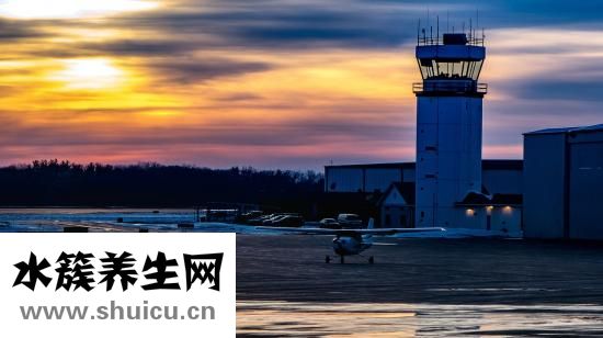 夫子廟在哪個區(qū)