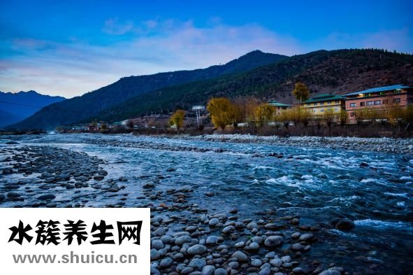 帕羅瑪效果怎么樣