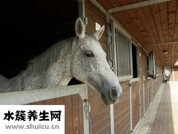 耳一號(hào)耳機(jī)怎么樣