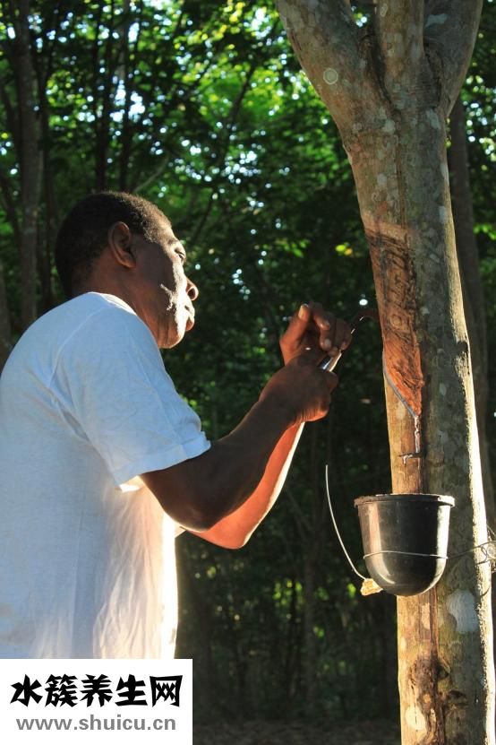 如何使用安全套