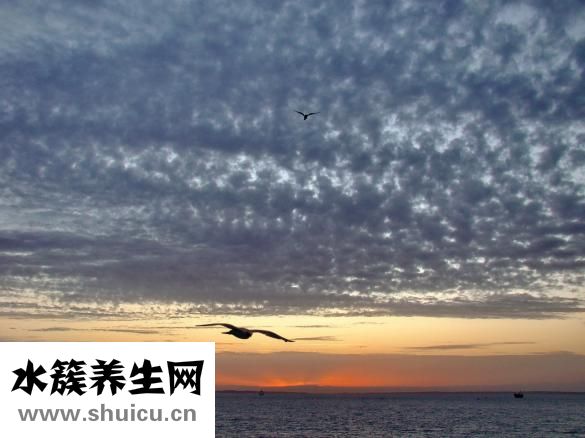 基迪奧測(cè)序怎么樣