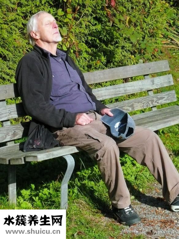 金星獺兔品種怎么樣