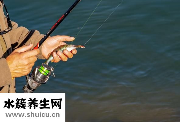 劉氏百麗櫥柜怎么樣