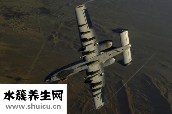 吃什么能增強性功能