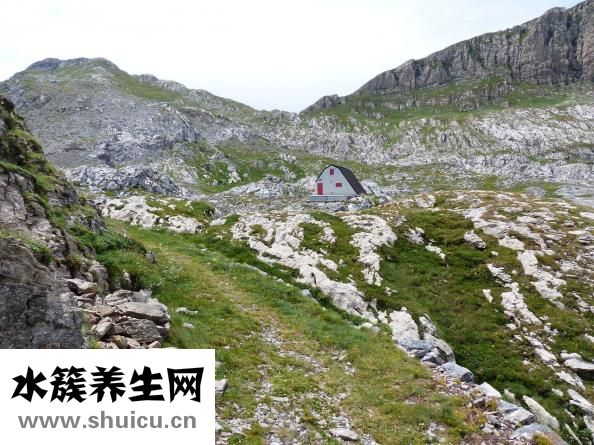 巧虎早教怎么樣