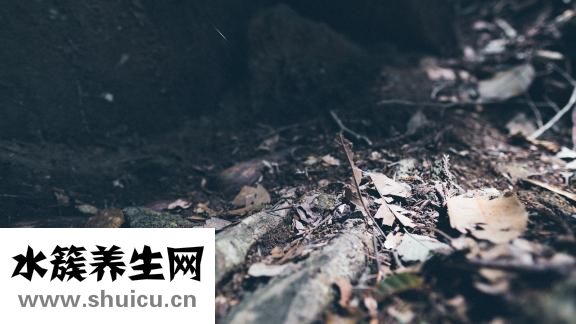 美的的油煙機怎么樣