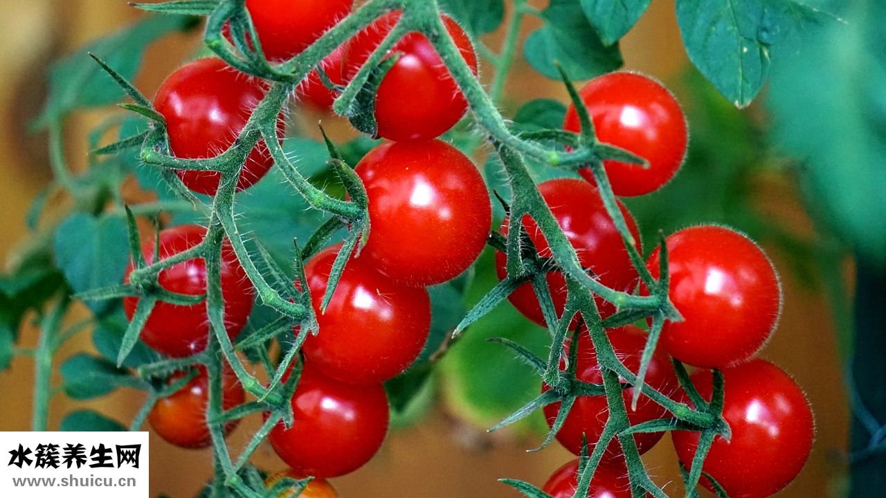 紅色痘印怎么去