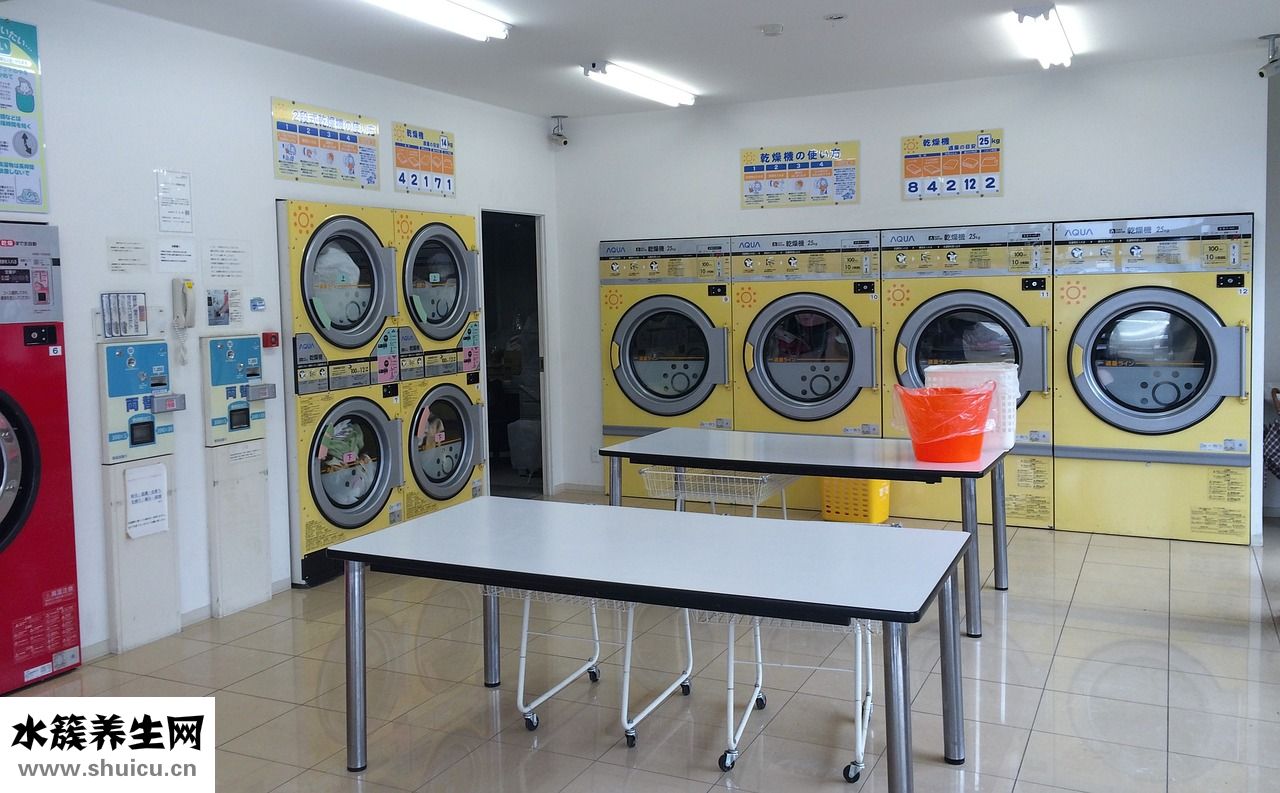 小麥苗喂牛怎么樣