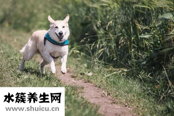 有屁不放會怎么樣