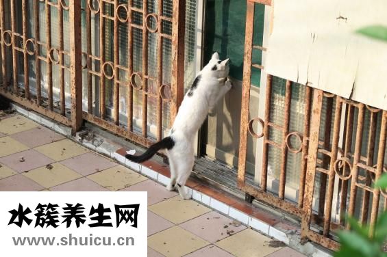 為什么會想一個人