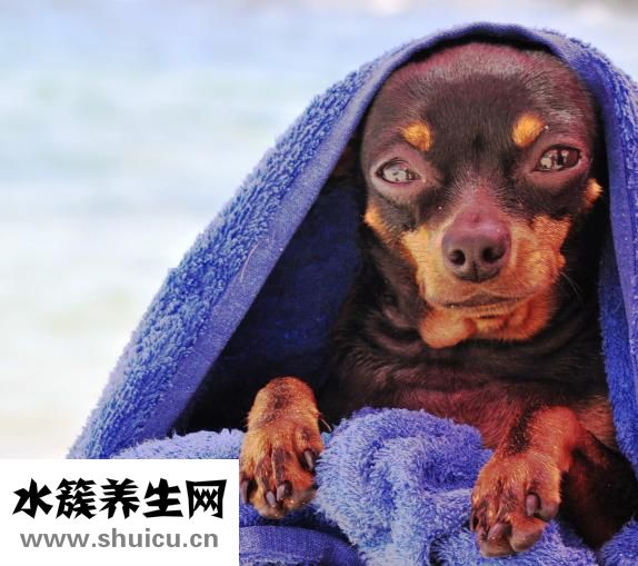 雙眼皮貼怎么剪