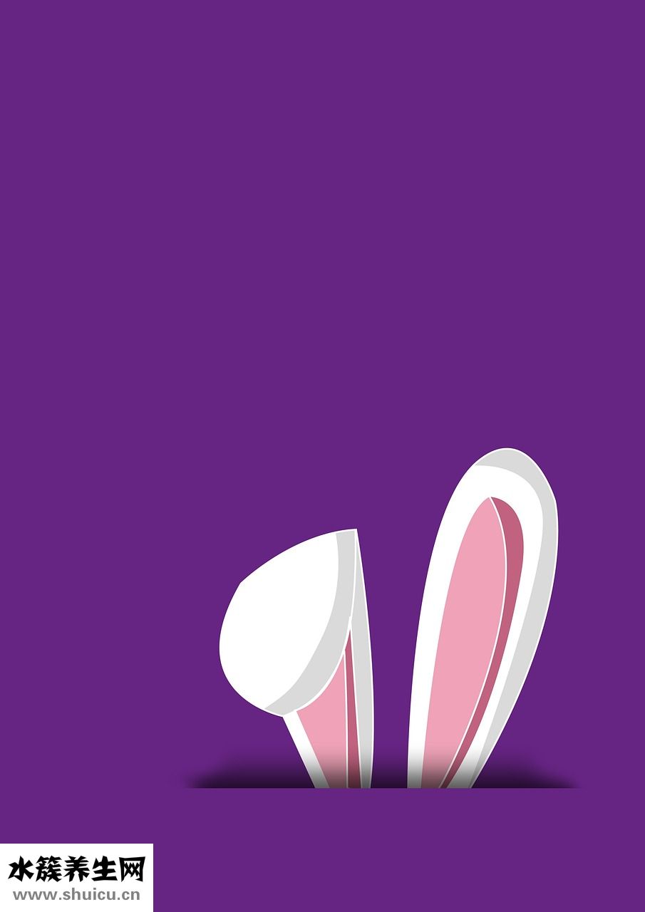 耳機參數怎么看