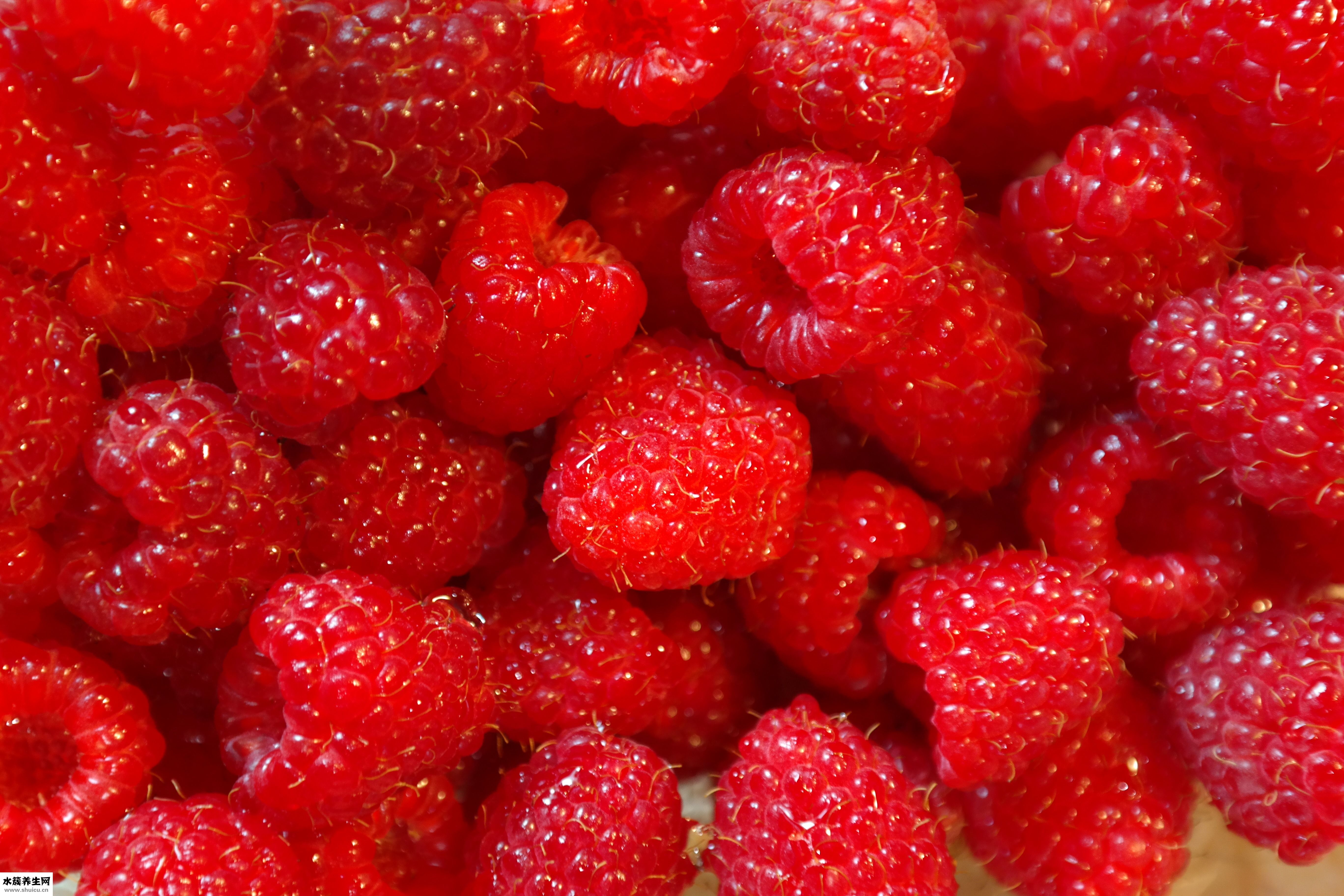 曲線茶效果怎么樣