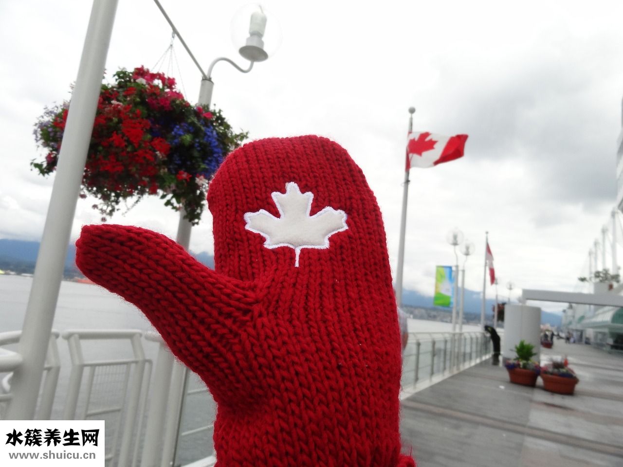 中華神藥皂怎么樣