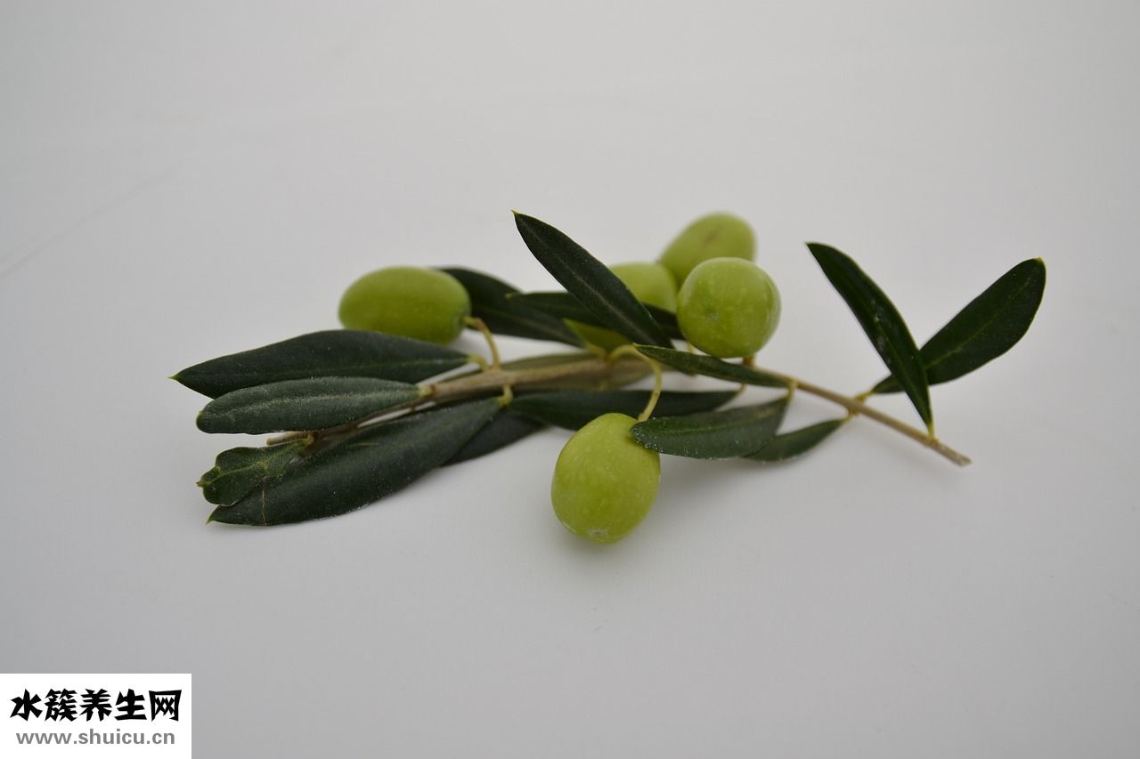 甘道芯緩釋茶怎么樣