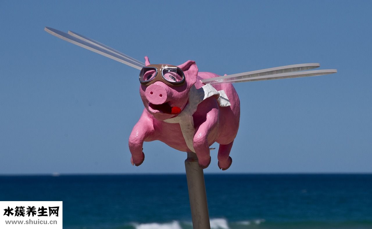 睫毛不翹怎么辦