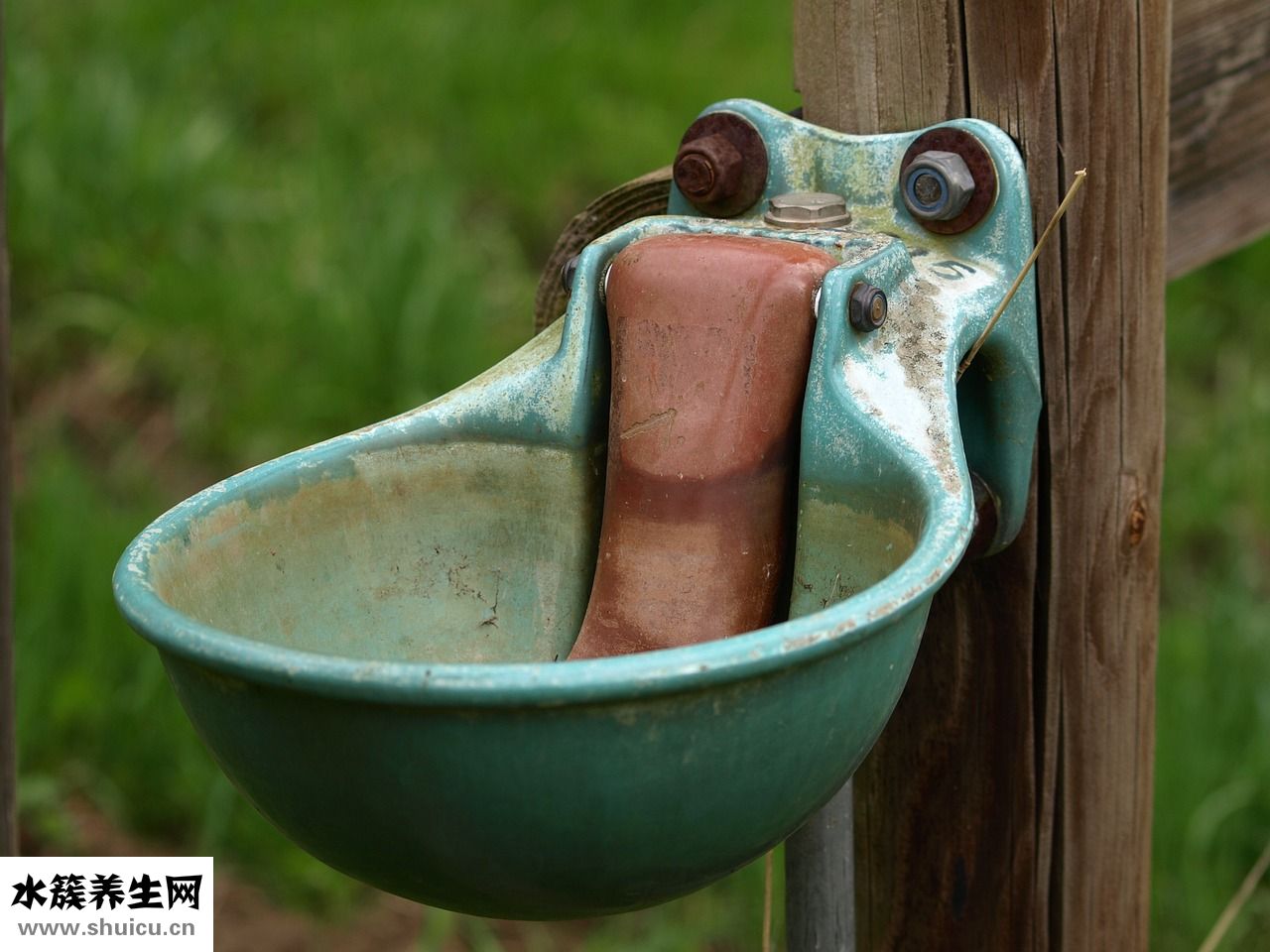 羌月乳膏怎么樣