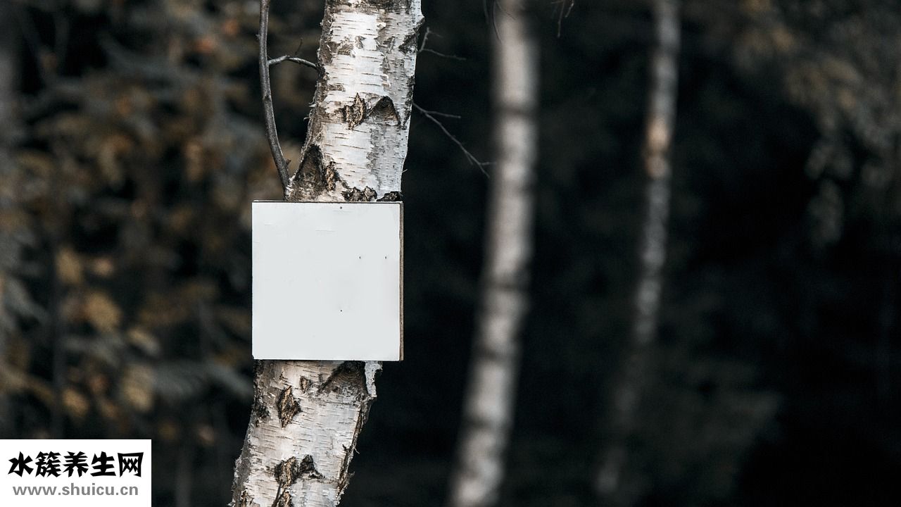 強生的護臀霜怎么樣