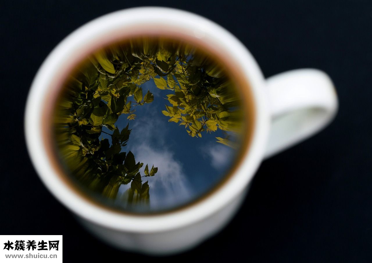 綠茶籽精華怎么樣