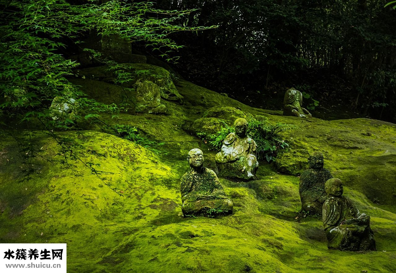 中華神藥皂怎么樣