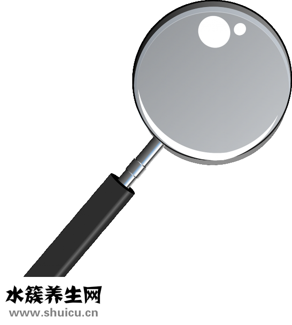 靈芝糖漿效果怎么樣