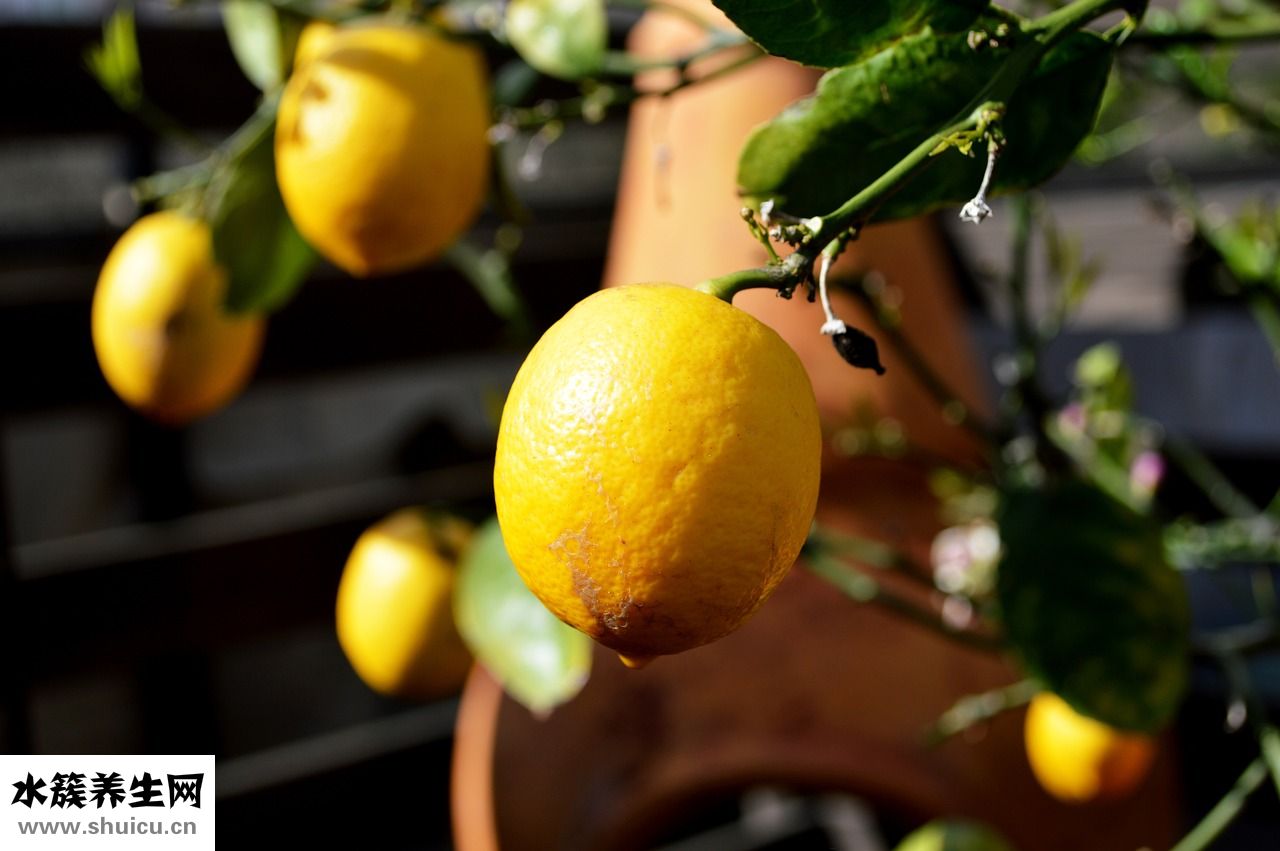 鼾特歐奇迪怎么樣