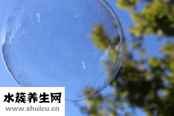 丞燕保健品怎么樣