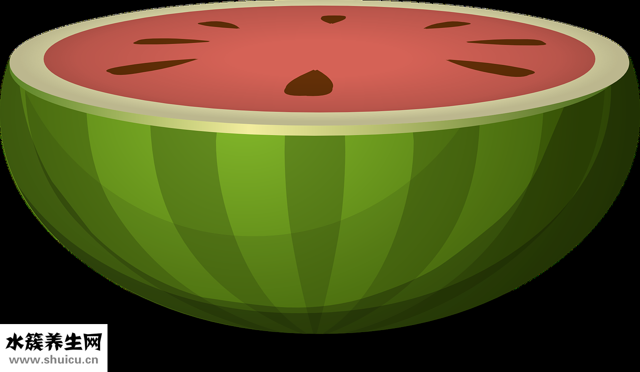 水魚(yú)吃什么