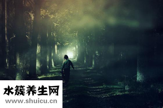 丞燕保健品怎么樣