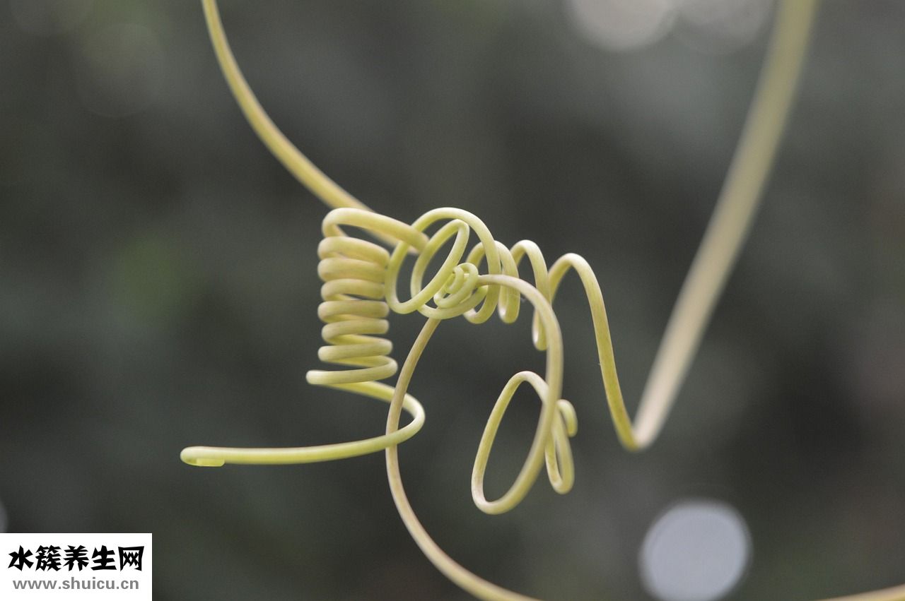 金利來的褲子怎么樣