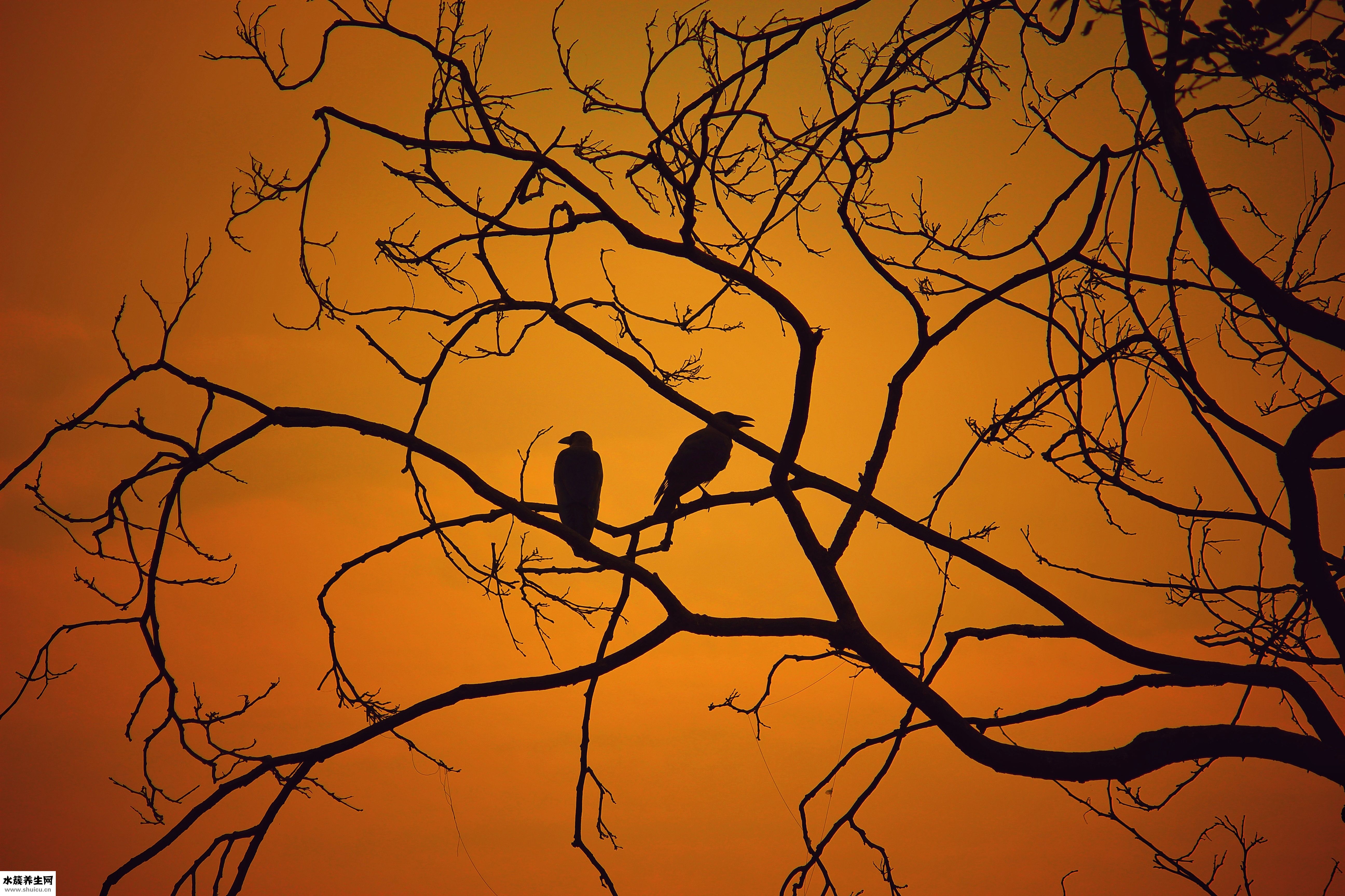 耳機參數怎么看