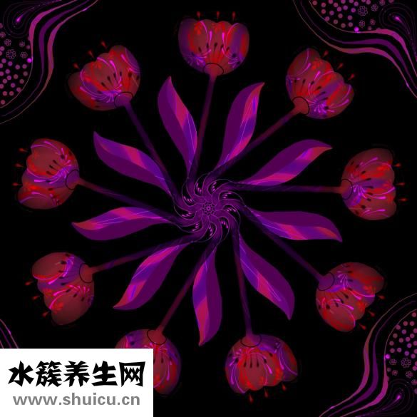 潘婷洗頭發怎么樣