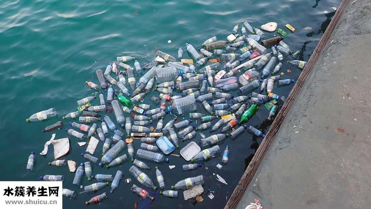 福田汽車怎么樣