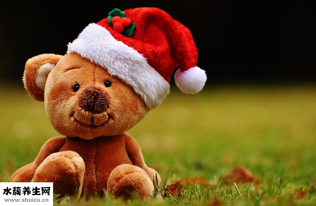 泰迪熊紙尿褲怎么樣