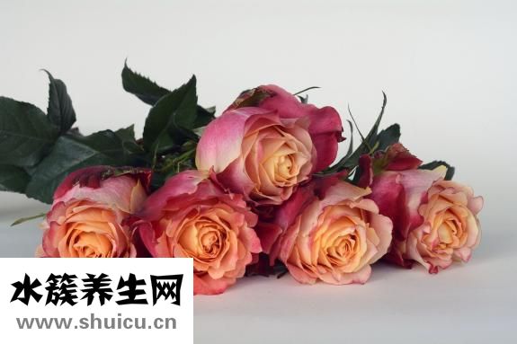 梅龍鎮(zhèn)廣場怎么樣