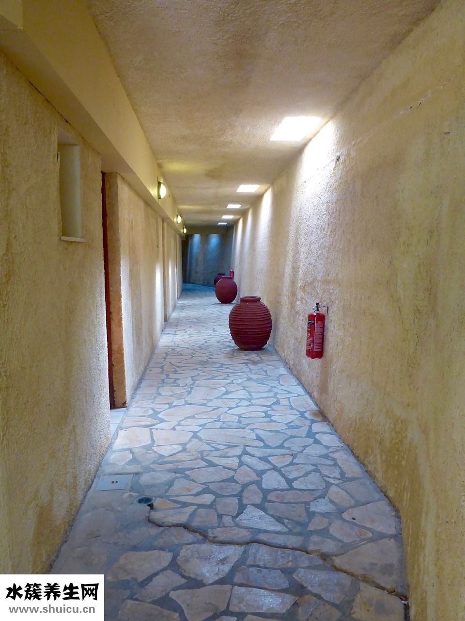 綠茶有什么好處