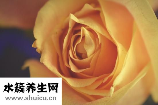 美容保健行業怎么樣