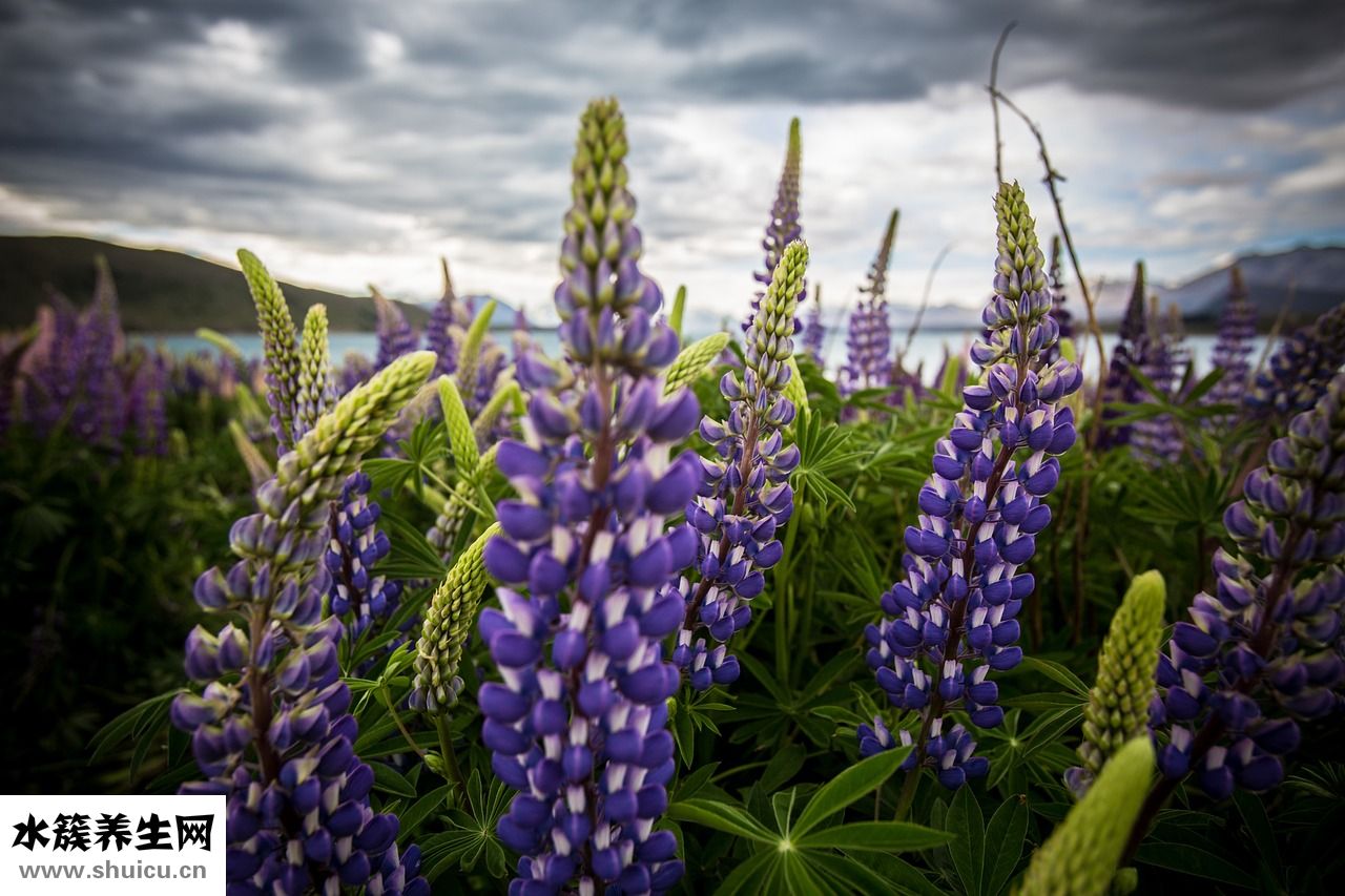 睡覺打鼾怎么辦