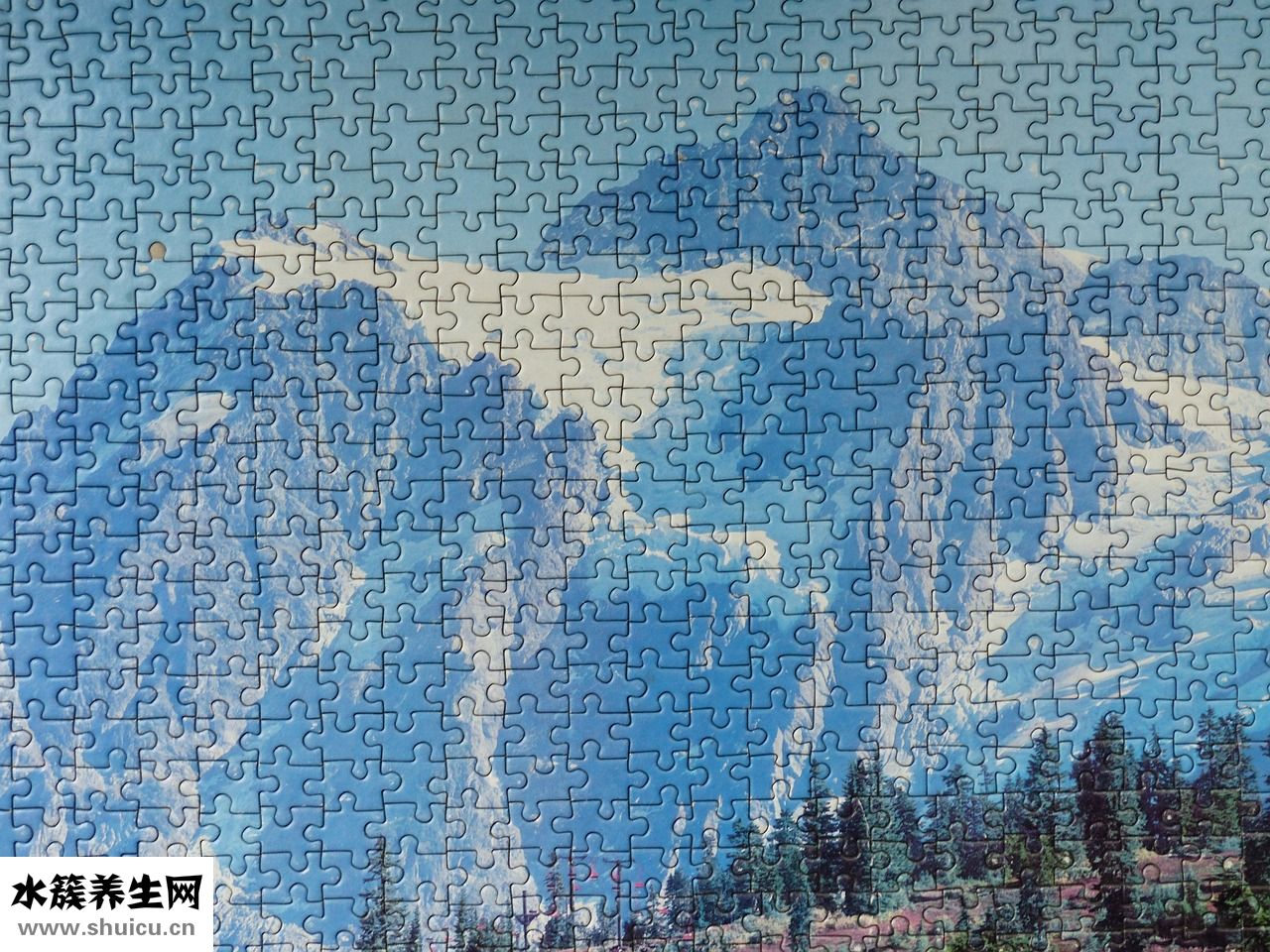 施樂輝髓內釘怎么樣