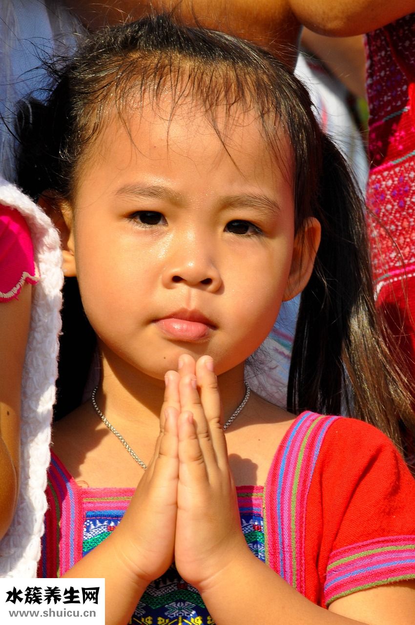 泰國(guó)斗魚(yú)吃什么