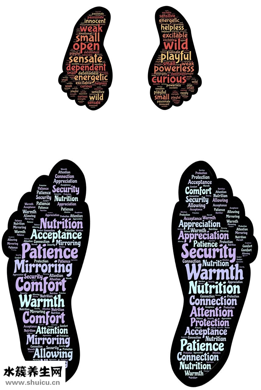 百娜綺貓糧怎么樣