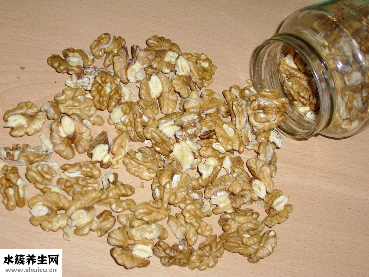 鸚鵡吃核桃會怎么樣