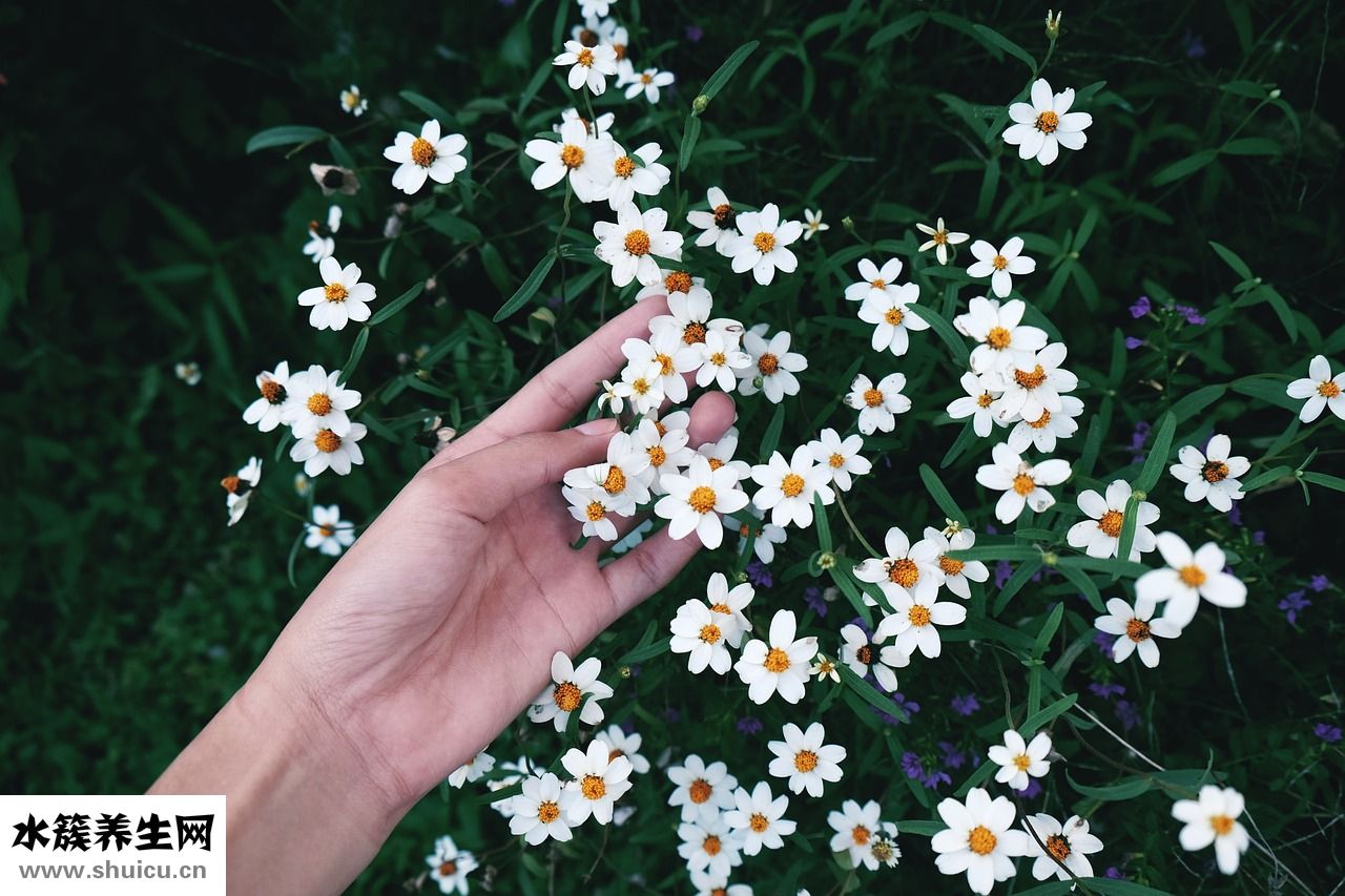 拉帕替尼怎么樣