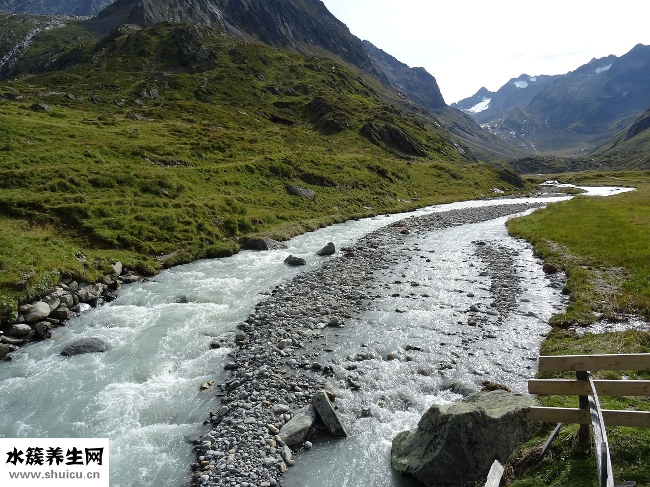 高山青草奶怎么樣