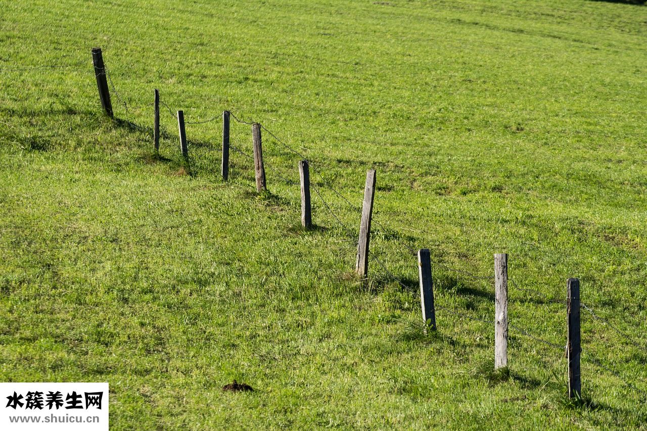 紗布尿布怎么樣