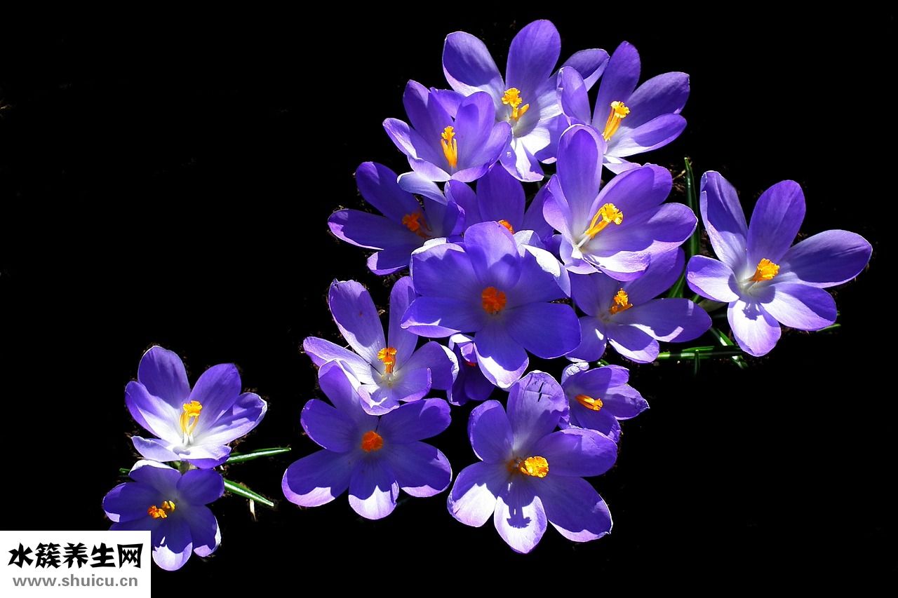 男生留什么發型好看