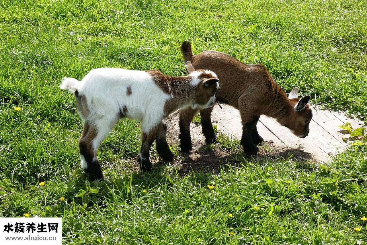 怎么才能哭出來