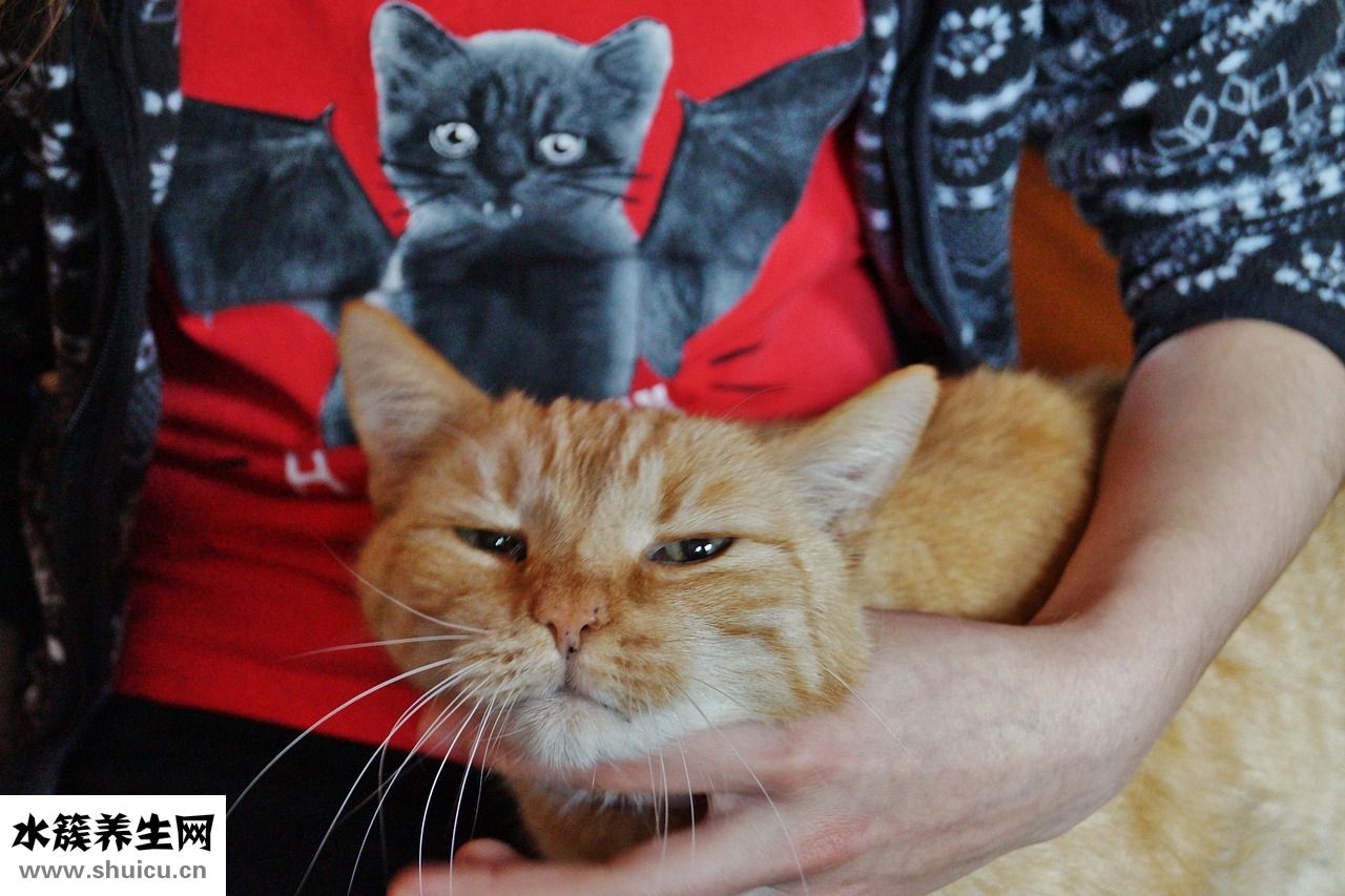 怎么才能哭出來