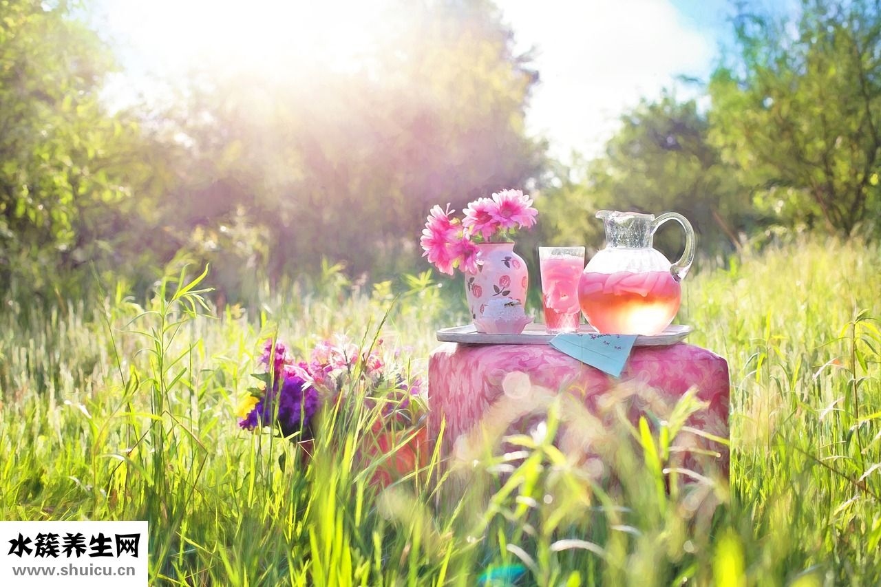 高資的卸妝油怎么樣