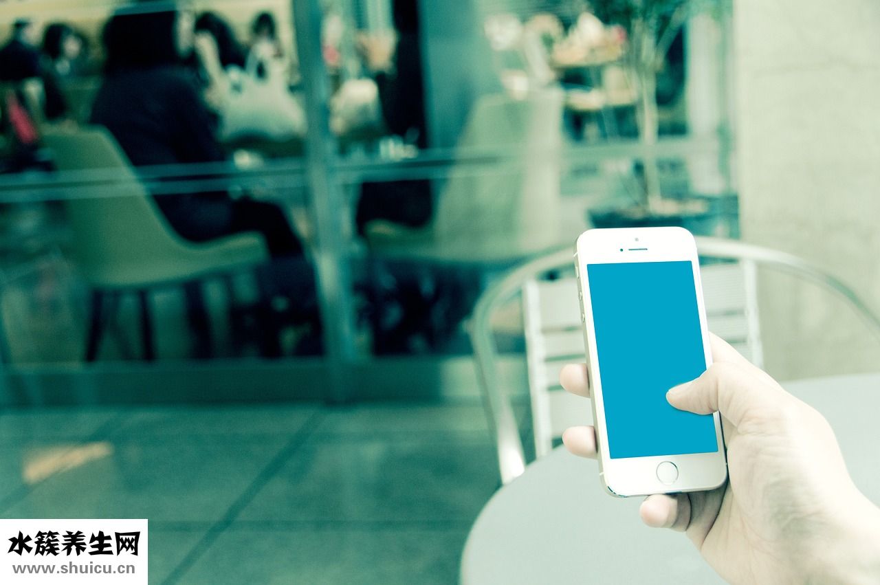 職業(yè)發(fā)展方向怎么寫